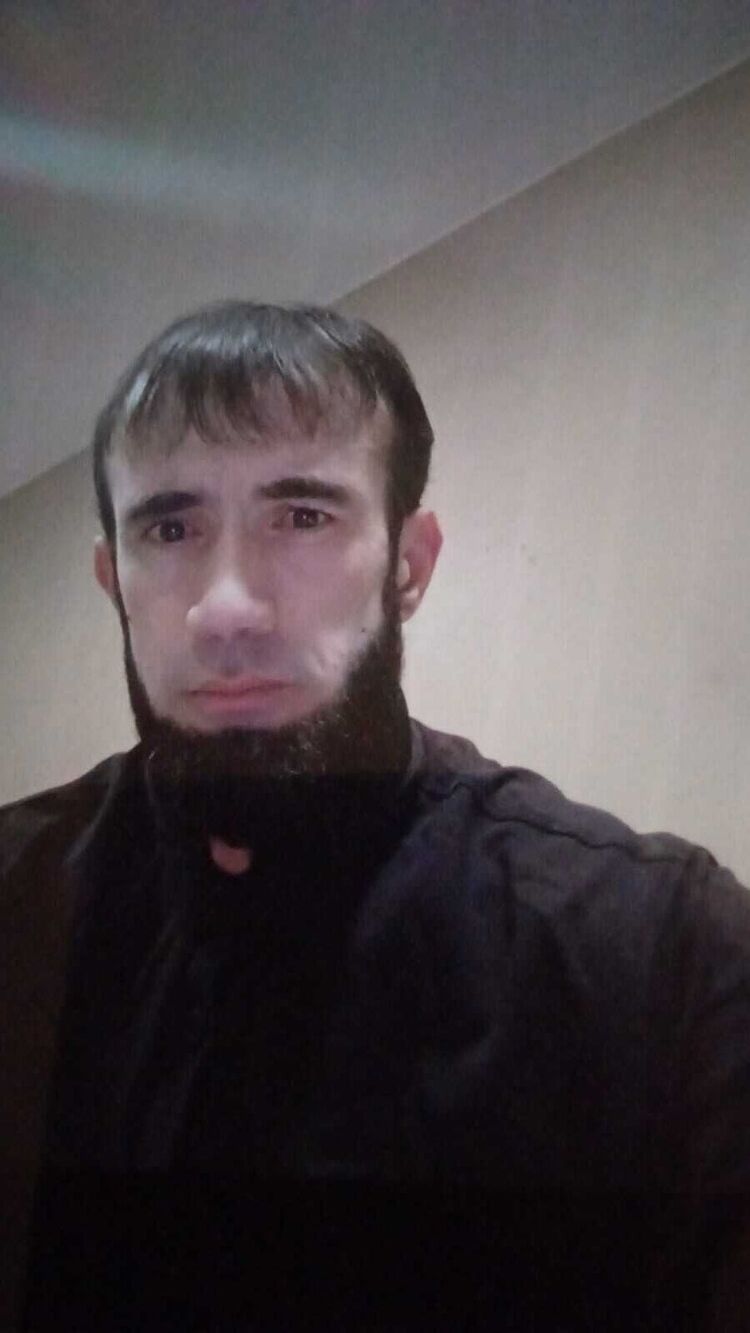  44608477  , 37 ,    
