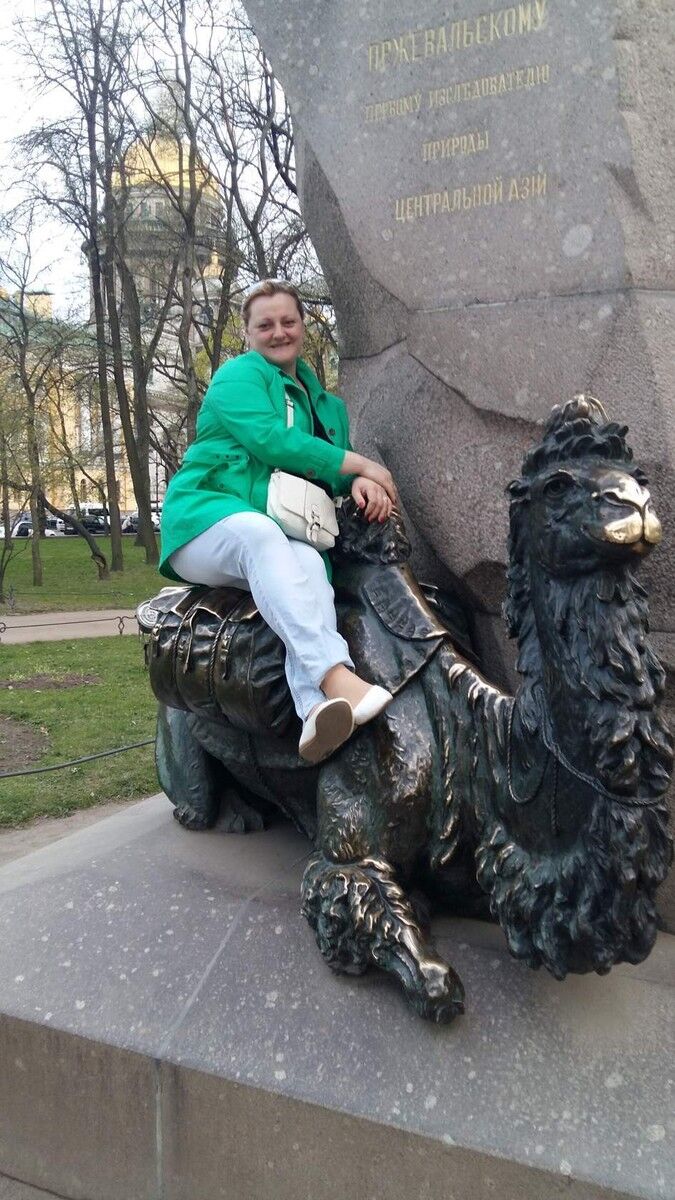  9576177  , 49 ,    -