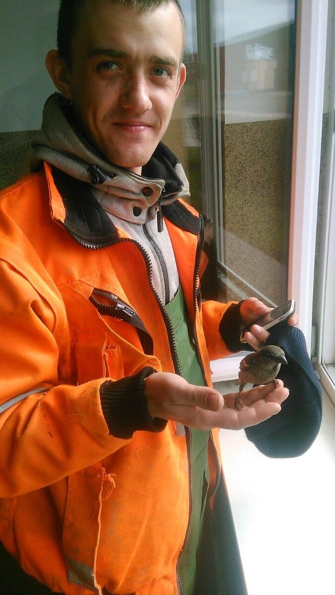  ,   Bohdan, 30 ,   ,   , c 