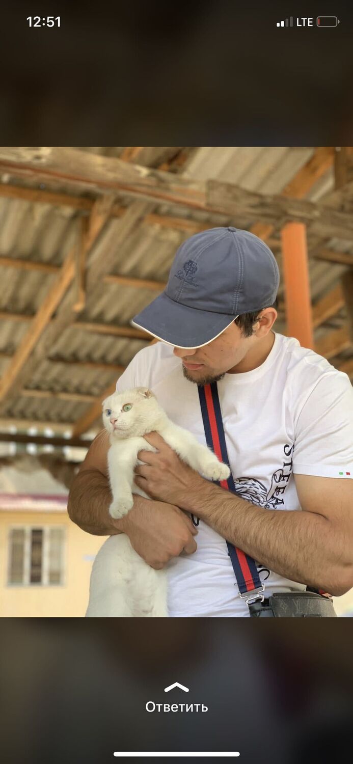 ���������� ������-��-����, ���� ������� ����, 29 ���, ������������ ��� ������, ����� � ���������