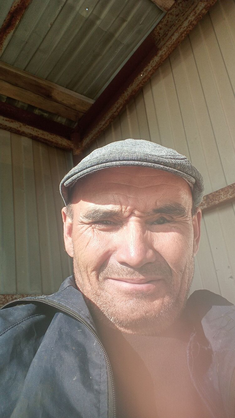  38315867  , 57 ,    
