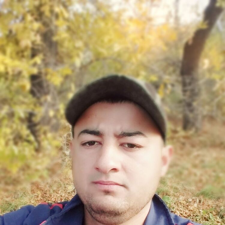  42663377  , 27 ,    