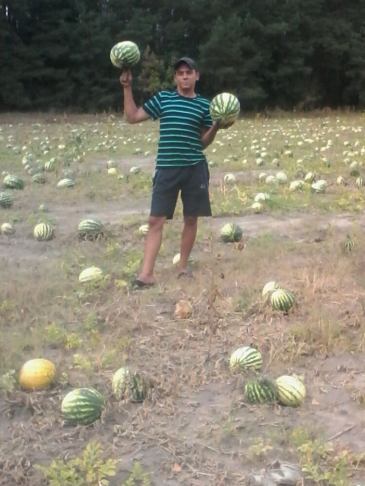 ���� 19900827 ������� �����, 34 ����, ���� ���������� � ������-���