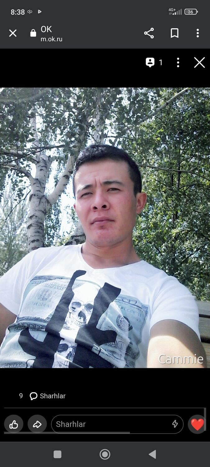  31615757  , 31 ,    