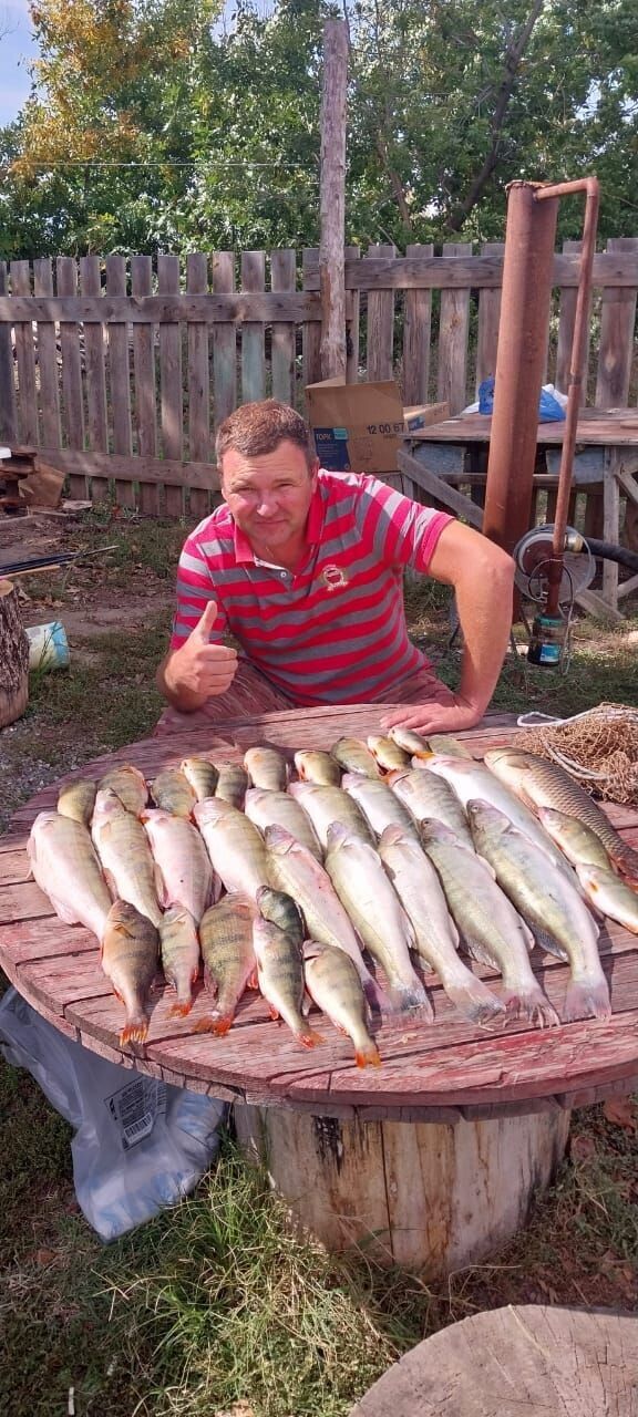 ���� 53682297 ������� Andre, 29 ���, ���� ���������� � ���������