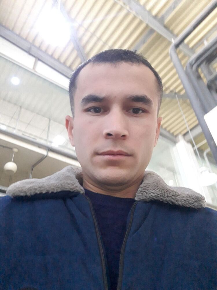  41065737  , 33 ,    