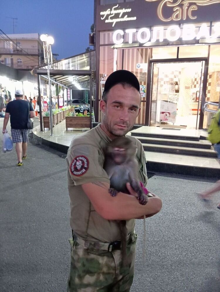 ���� 36607727 ������� ���������, 38 ���, ���� ���������� � ����