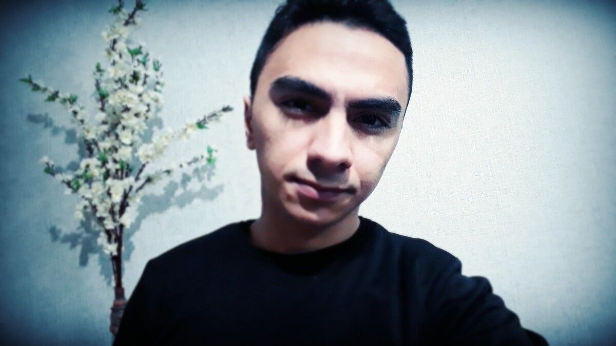 ���� 11345017 ������� Barny, 29 ���, ���� ���������� � ����