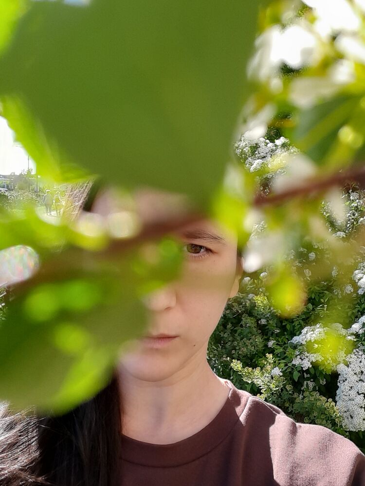 ���������� �����-���������, ���� ������� �����, 29 ���, ������������ ��� c�������� ���������