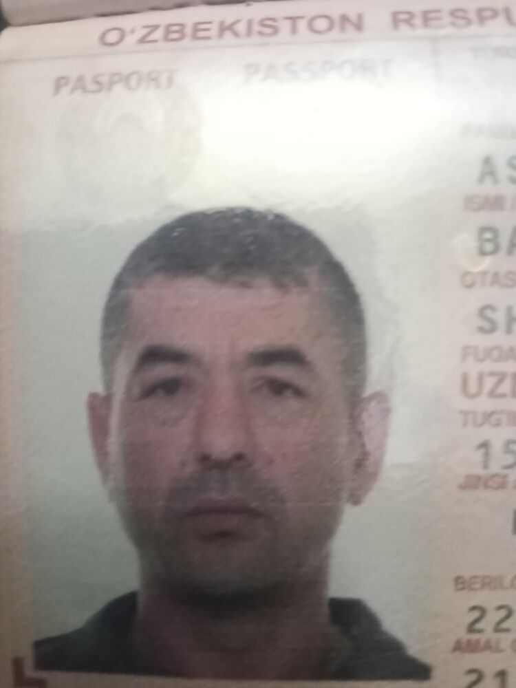  31409347  BEHPUZ, 42 ,    