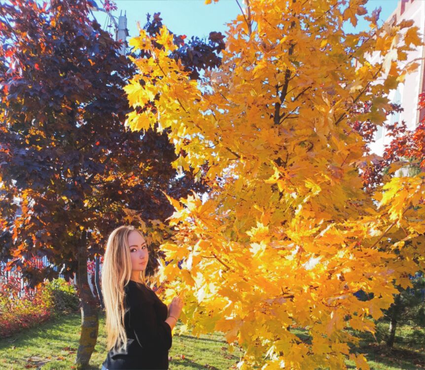 ���������� ������, ���� ������� ����, 27 ���, ������������ ��� ������, ����� � ���������