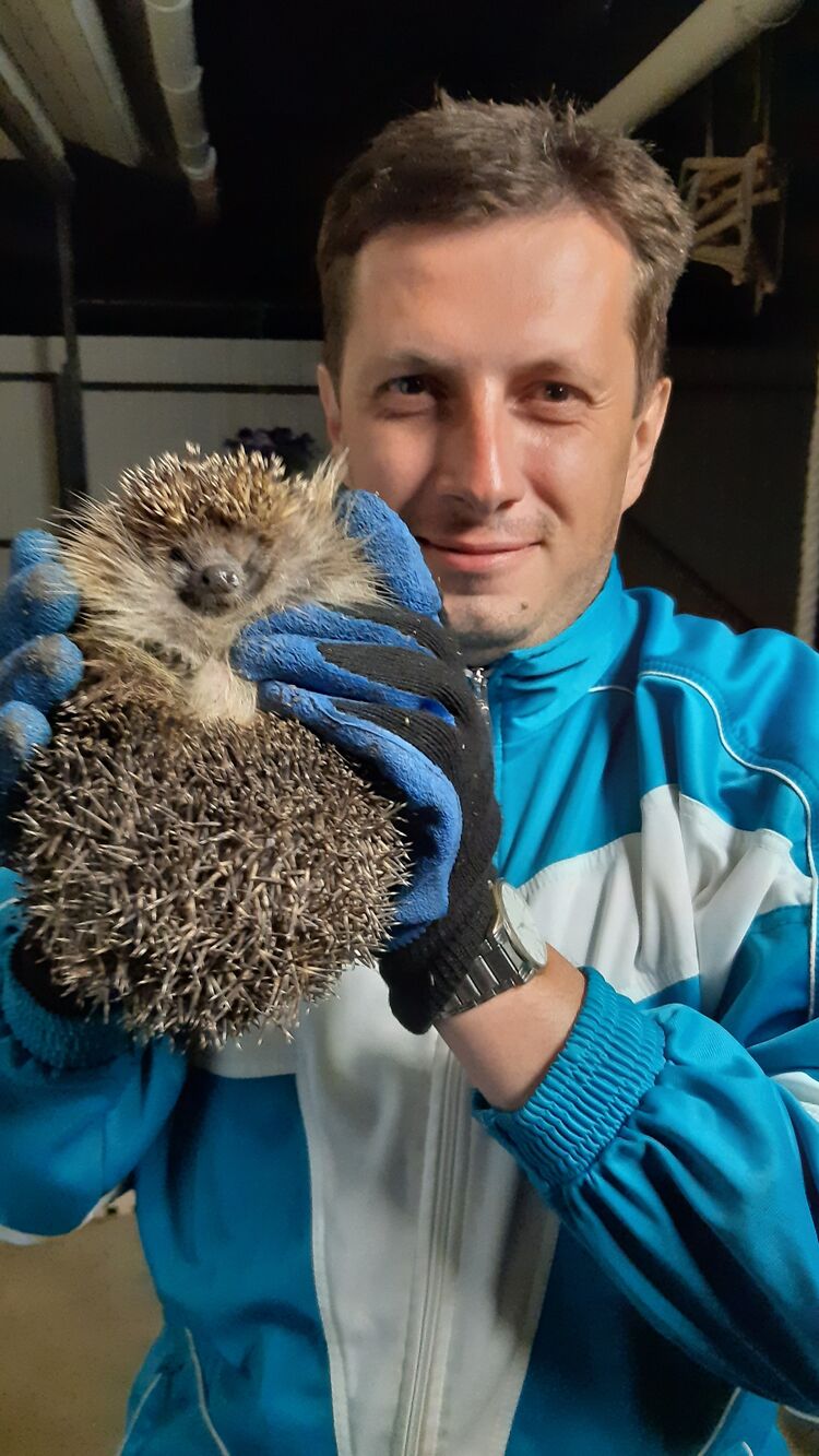  ,   , 39 ,   ,   