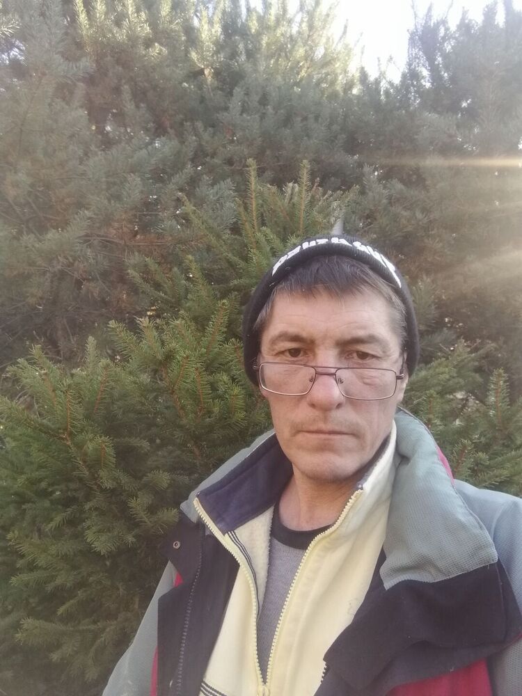  24140817  , 49 ,    -