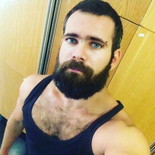 ���� 43317217 ������� ����, 36 ���, ���� ���������� � �����