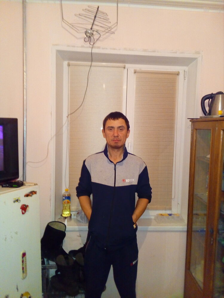  15358267  , 43 ,    -