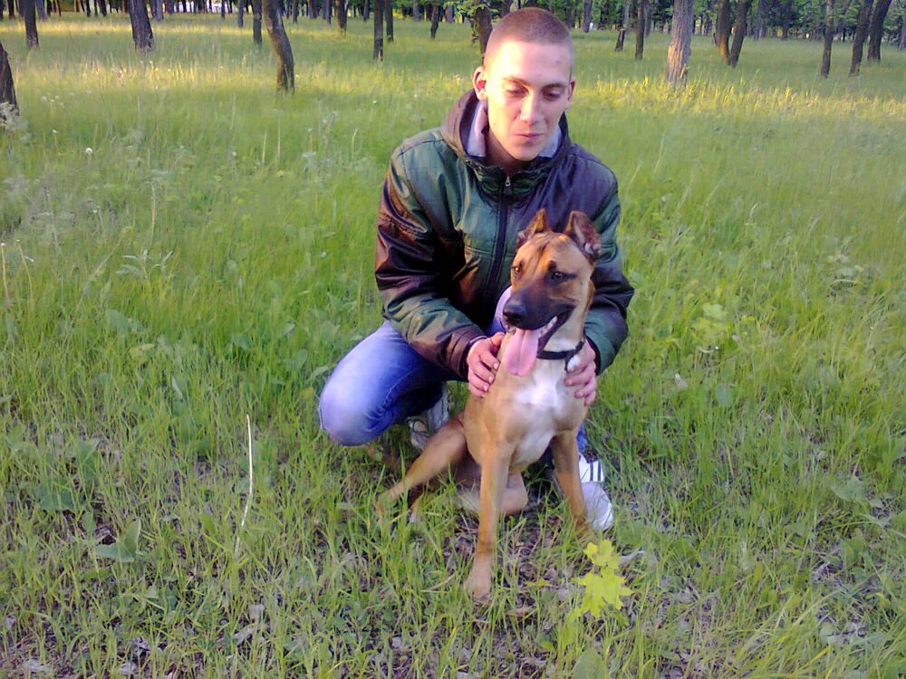 ���� 23166887 ������� ����, 29 ���, ���� ���������� � �������