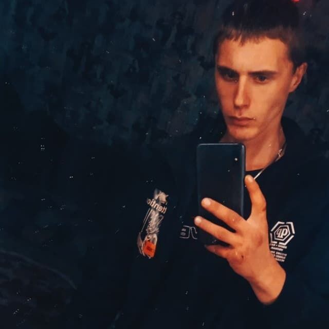  29113817  , 21 ,    