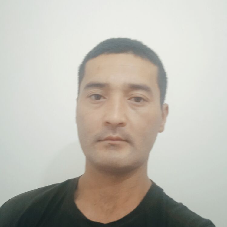 ���� 37746737 ������� ����, 28 ���, ���� ���������� � ���������