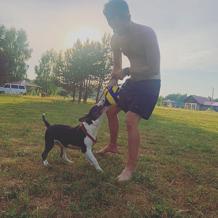 ���������� ������, ���� ������� �������, 29 ���, ������������ ��� ������, ����� � ���������, ���������