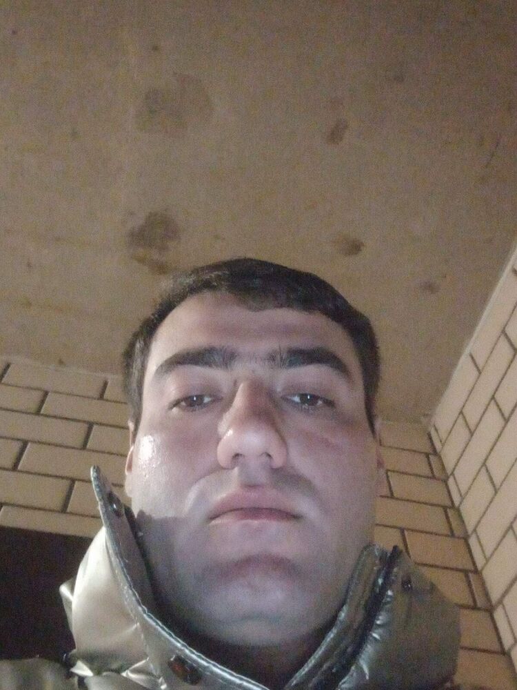  53498537  , 31 ,    