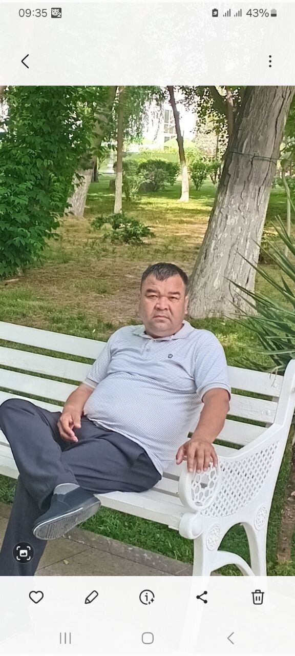  43738667  , 48 ,    