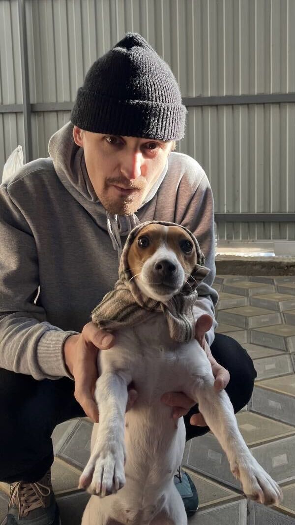 ���������� ����������, ���� ������� ����, 38 ���, ������������ 