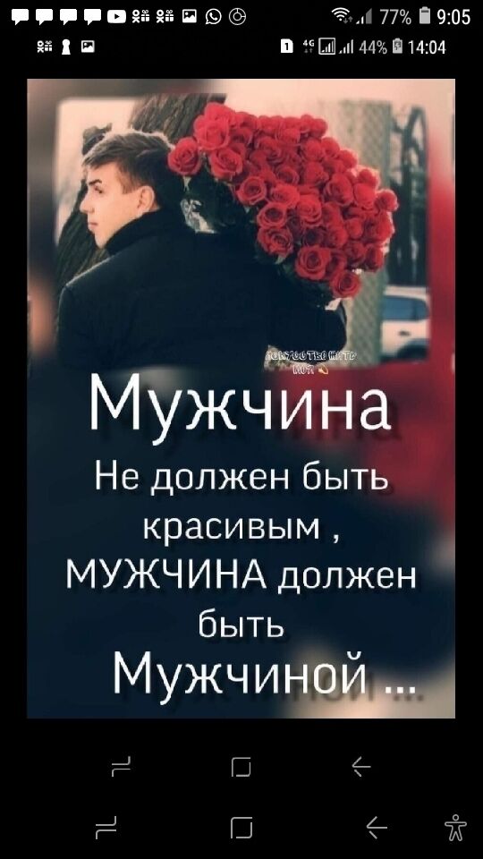  28969287  , 67 ,    