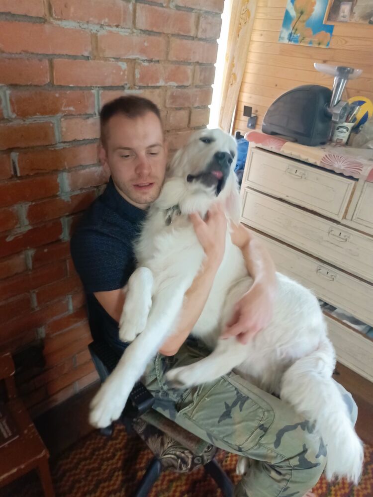  ,   , 22 ,   ,   , 