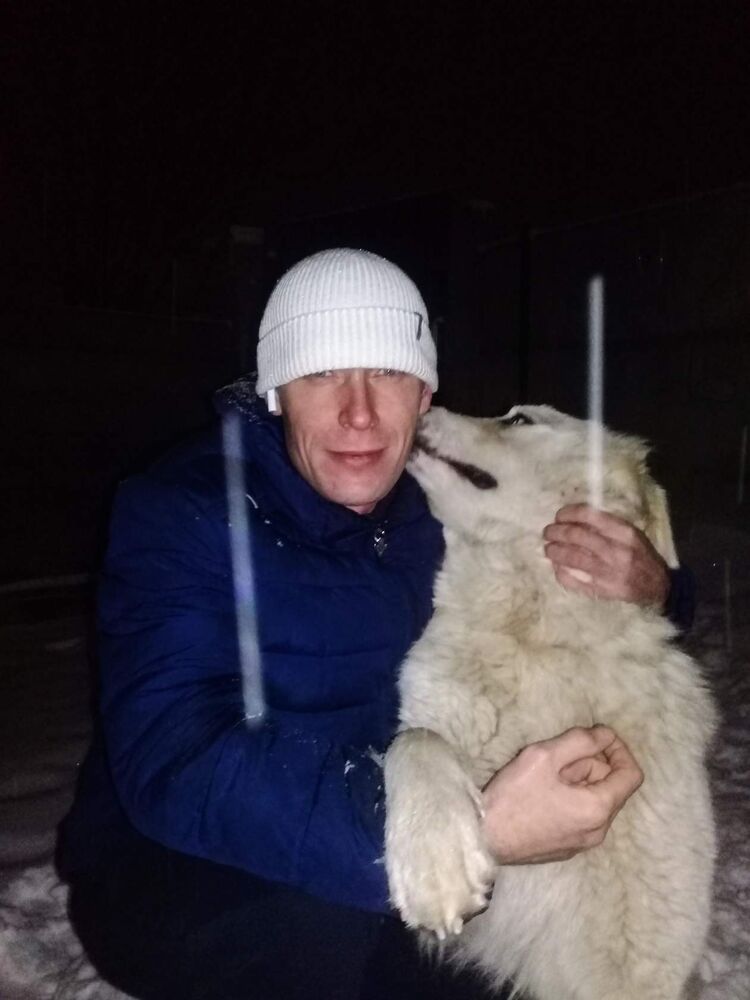 ���� 46477747 ������� �������, 46 ���, ���� ���������� � ������