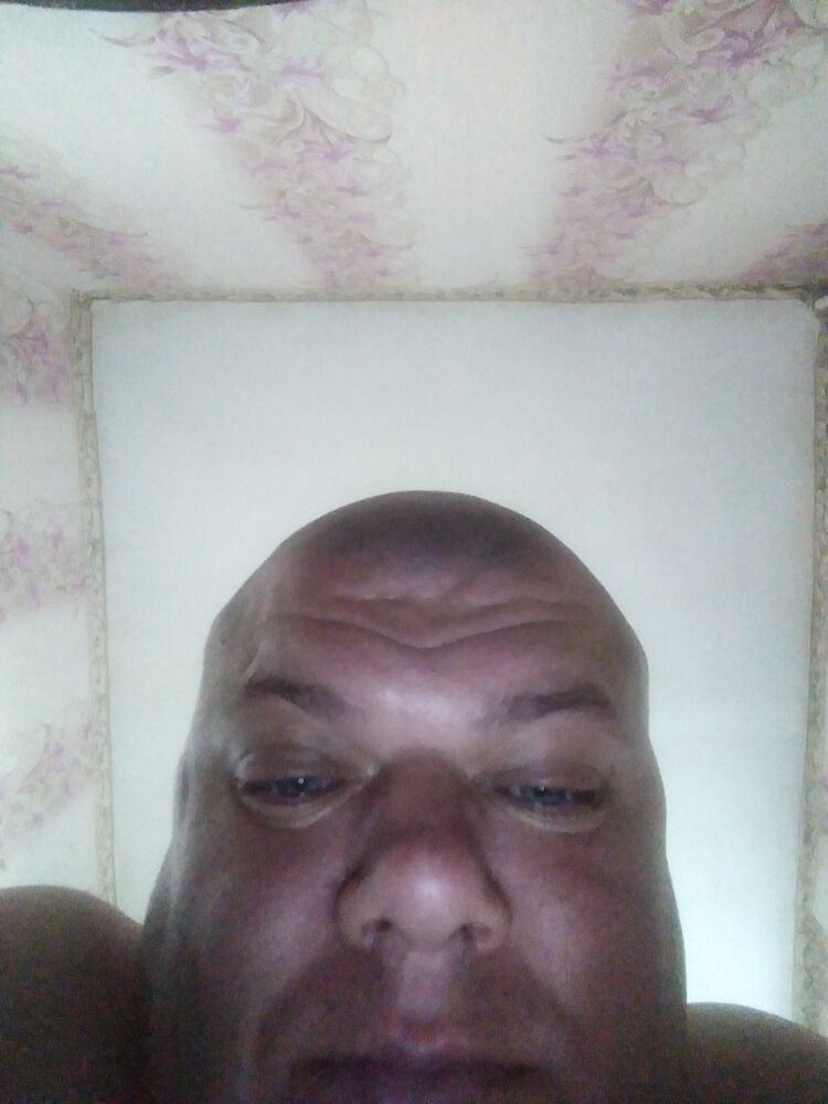  17250077  , 43 ,    