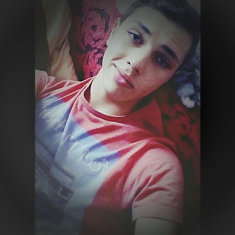 ���� 7318197 ������� DIMA BEST, 28 ���, ���� ���������� � ������