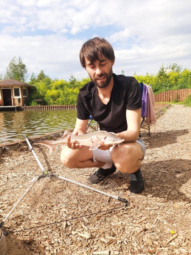 ���������� ���������� �����, ���� ������� ������, 38 ���, ������������ ��� ������, ����� � ���������, c�������� ���������, ���������