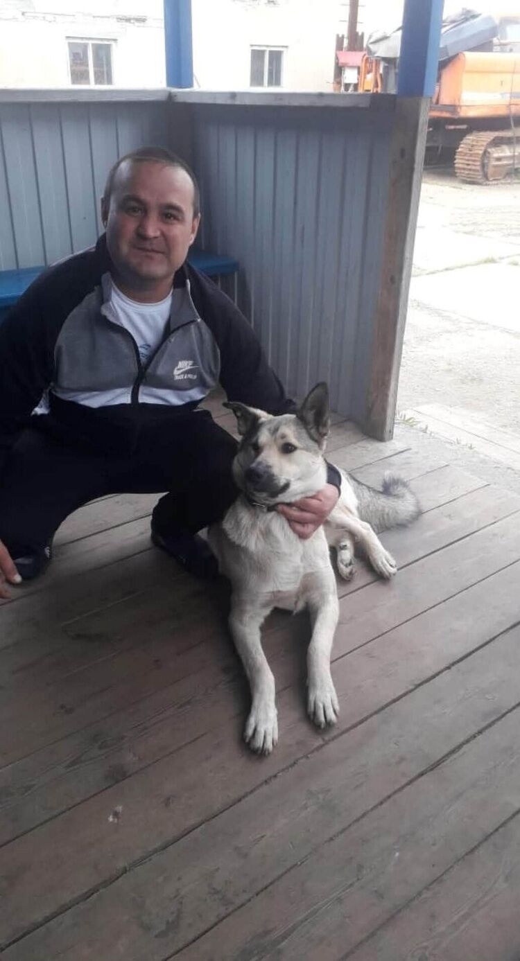 ���� 50865647 ������� �����, 40 ���, ���� ���������� � �����