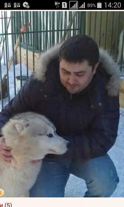 ���� 17432037 ������� ���������, 44 ����, ���� ���������� � �������