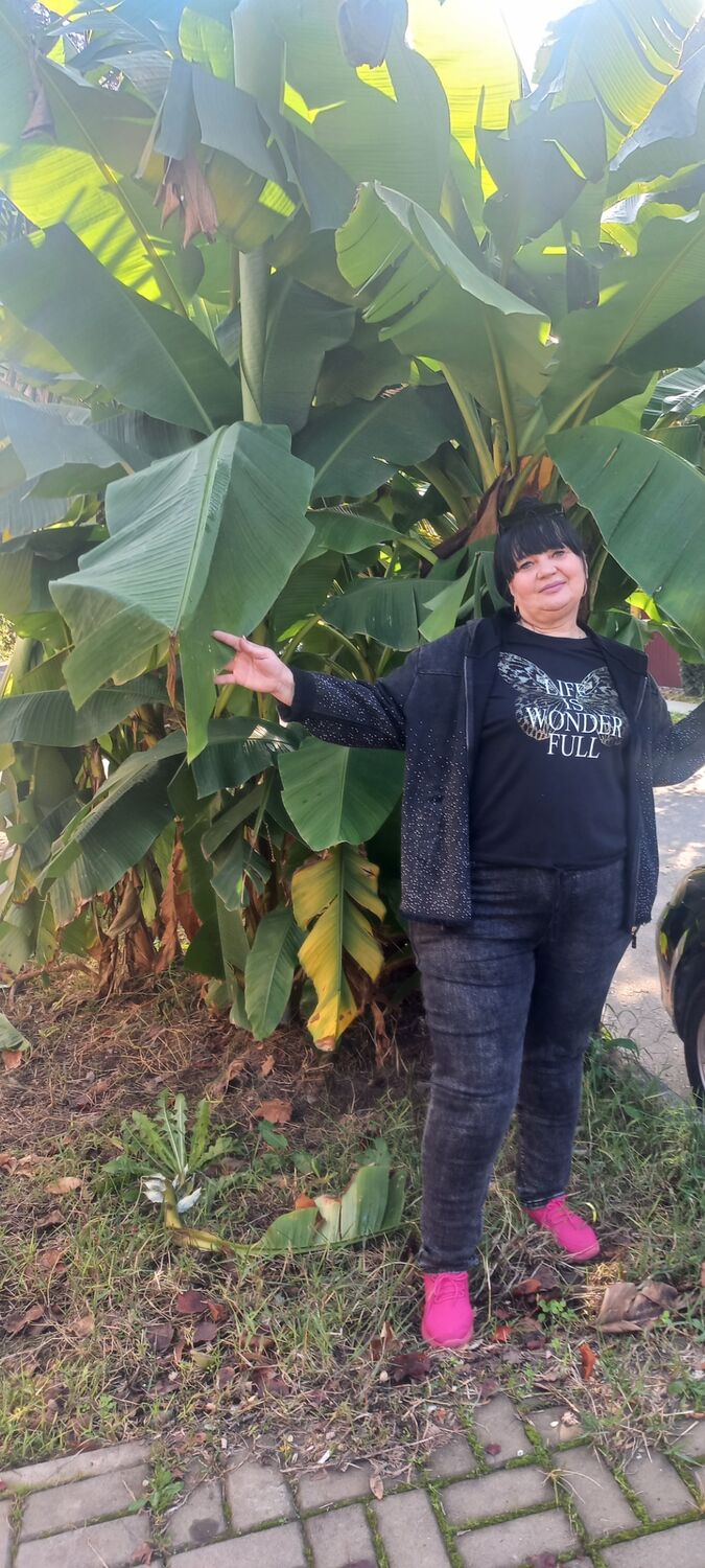 ���������� �������, ���� ������� ��������, 54 ����, ������������ ��� ����� � ���������, c�������� ���������