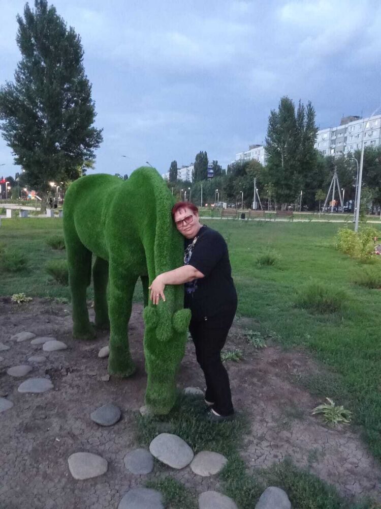 ���� 53980137 ������� ����, 57 ���, ���� ���������� � ��������