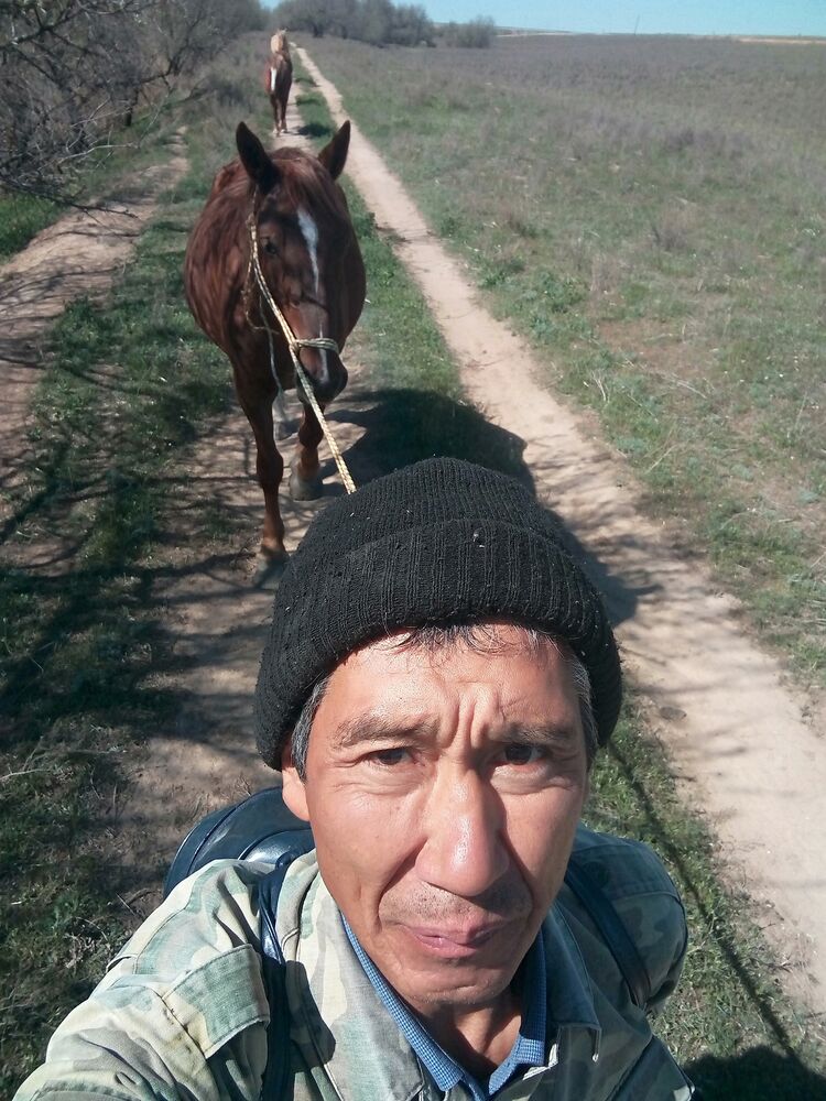  34755627  , 52 ,    