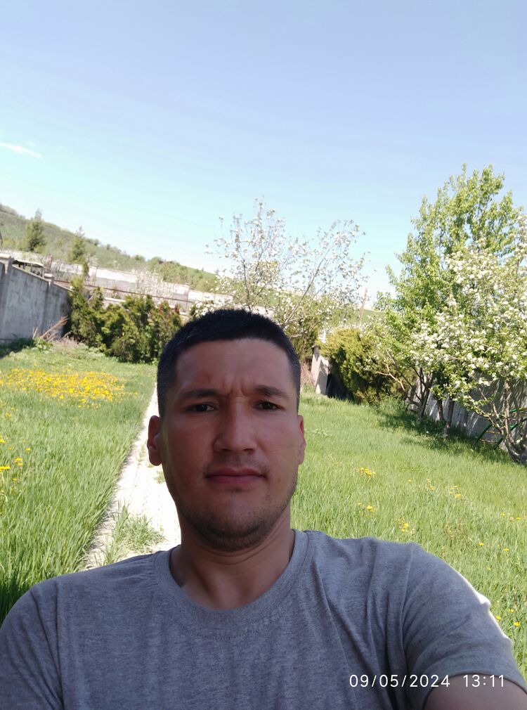  43059067  , 33 ,    