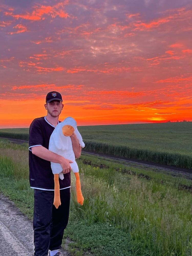 ���� 35137617 ����� ������, 24 ����, ���� ���������� � ������