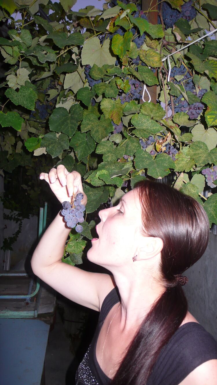  ,   Svetlana, 39 ,     , c , 