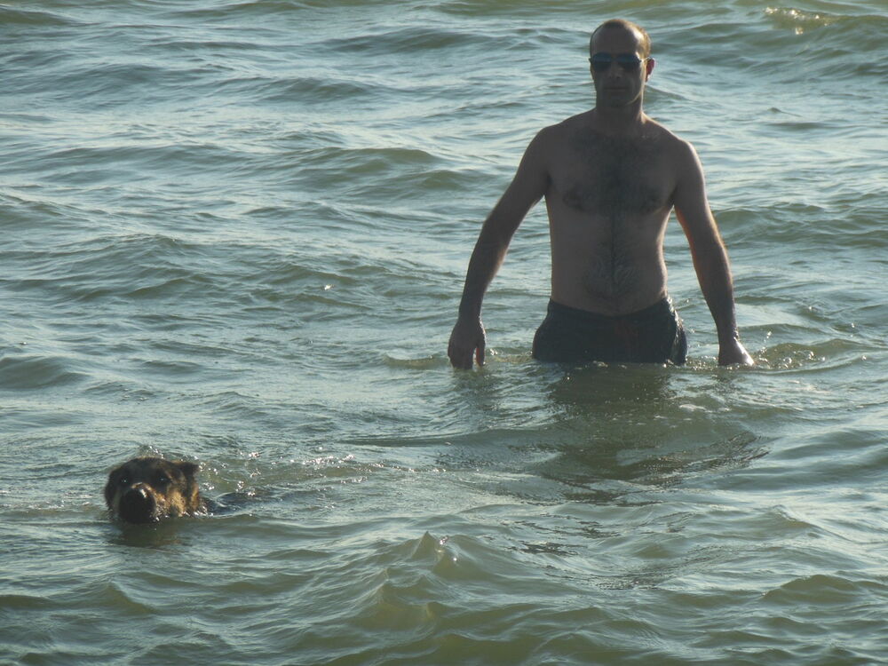  ,   Avto, 47 ,   