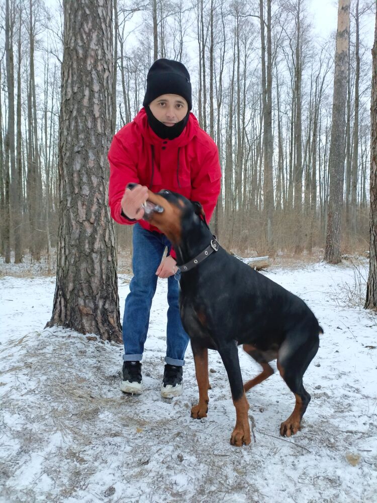 ���� 55277417 ������� ������, 27 ���, ���� ���������� � ��������