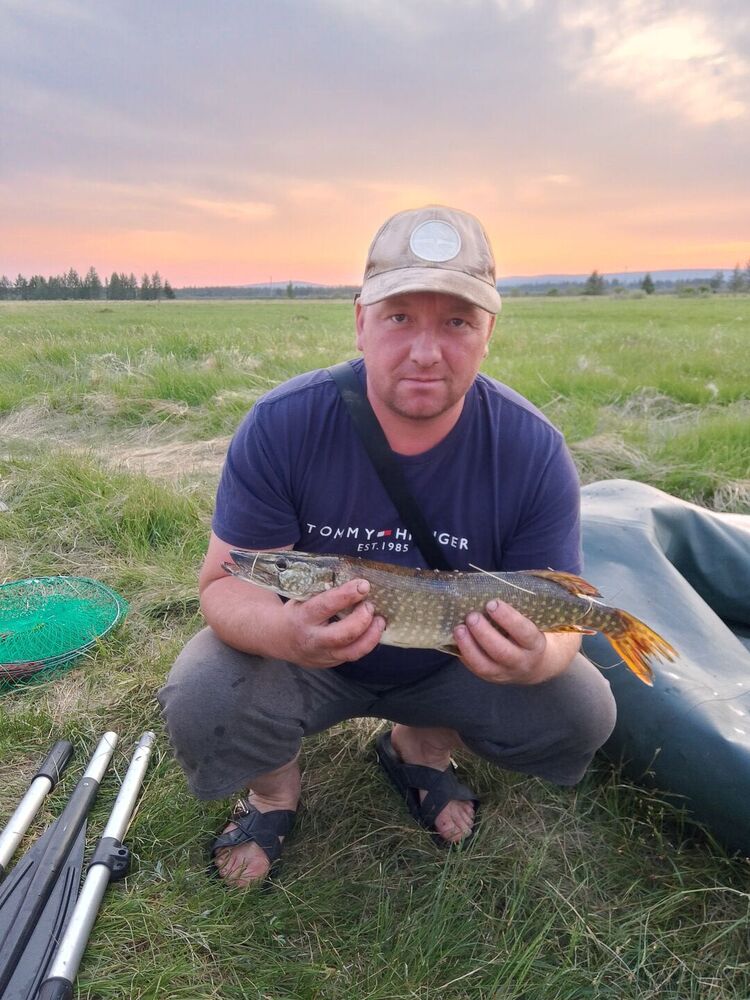 ���� 55562257 ������� ���������, 36 ���, ���� ���������� � ����