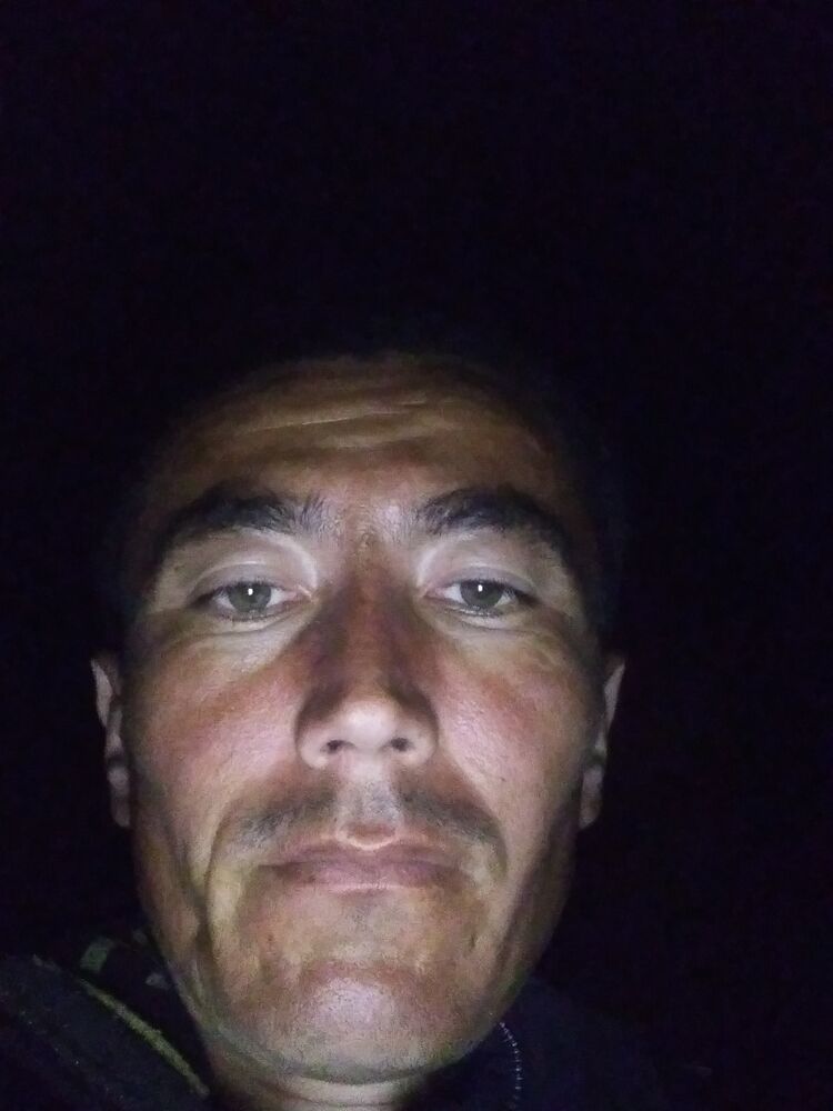  33281827  , 36 ,    -