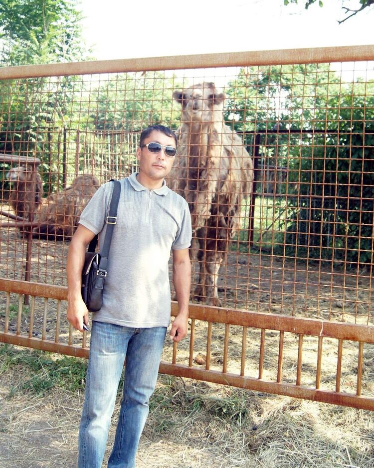 ���� 6971307 ������� �����, 50 ���, ���� ���������� � ������