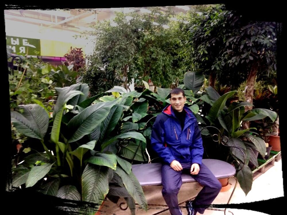 ���������� �������, ���� ������� ���������, 38 ���, ������������ ��� ������, ����� � ���������, c�������� ���������