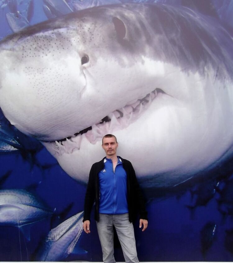 ���� 20571127 ������� Alix, 43 ����, ���� ���������� � ����������