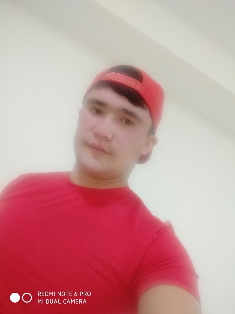  24553247  Ibodull, 28 ,    