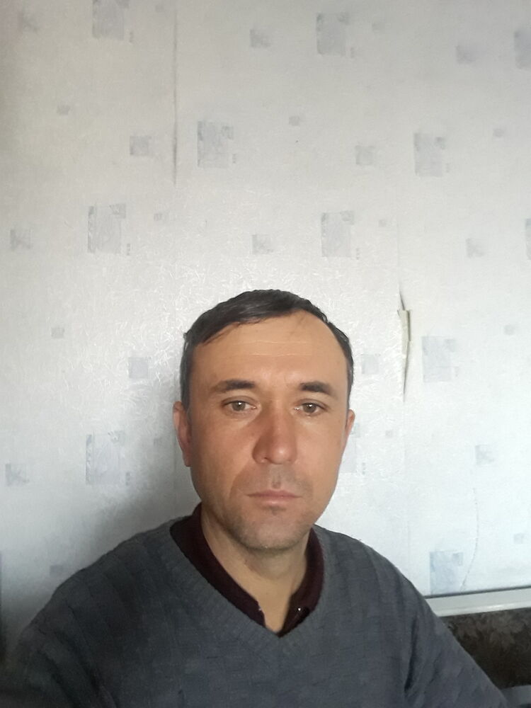  31399157  , 43 ,    