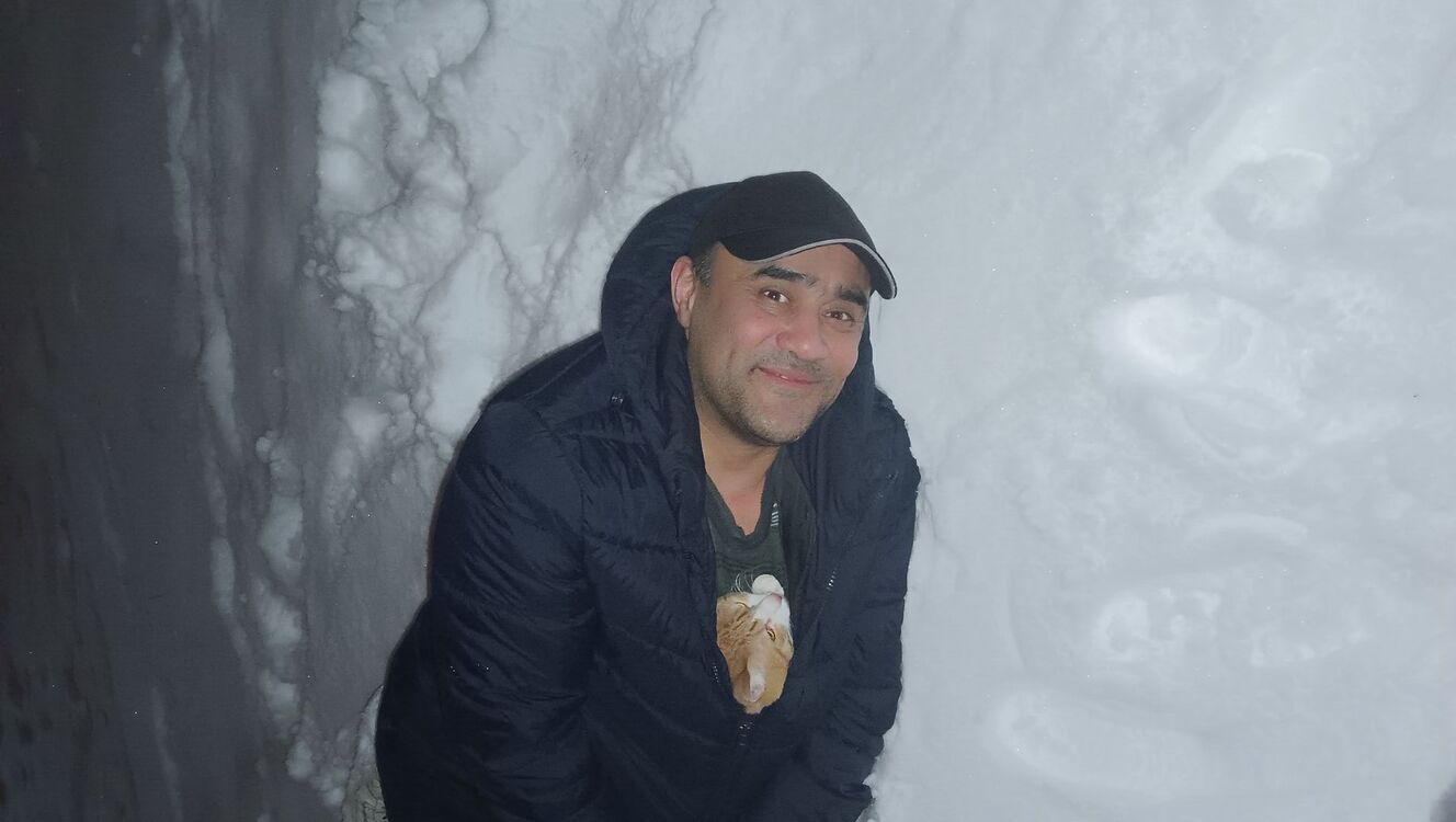 ���� 31902577 ������� �����, 44 ����, ���� ���������� � ��������